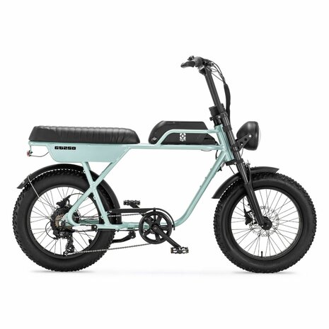 Agm GT250 Fat bike (diverse kleuren)