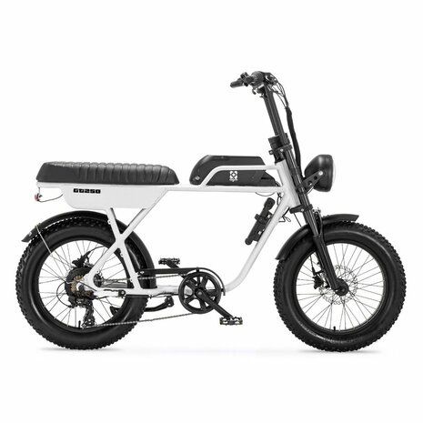 Agm GT250 Fat bike (diverse kleuren)