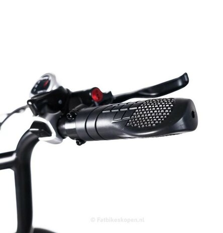 OUXI V8.3  Space Grey elektrische Fatbike, hydraulisch