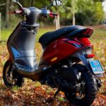 Rood-zwarte scooter geparkeerd op herfstbladeren in een park met bomen op de achtergrond.