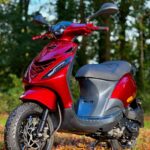 Rode scooter met zwarte details geparkeerd op herfstbladeren in een bos.