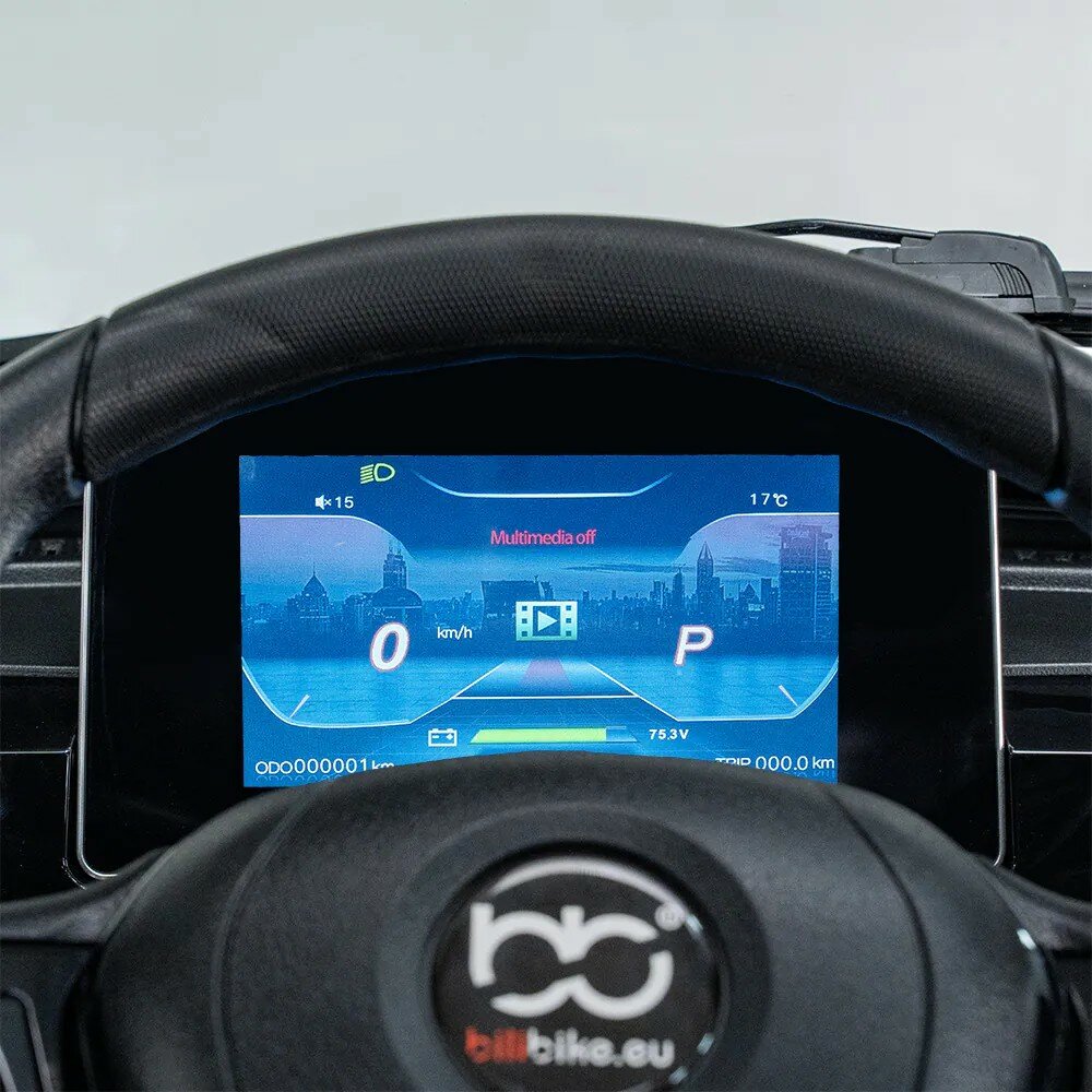 Digitaal dashboard met kleurendisplay achter stuur, snelheid 0 km/u en stand P zichtbaar.