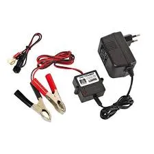 ACCU TRAINER UNIVERSEEL 12V 300ma LAMPA