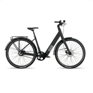Avalon E-lite Dames Mat zwart 2025