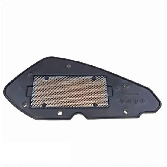 Air filter core euro 5