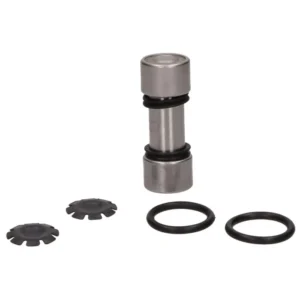 Naaldlager voorvork arm+borgplaatje gts, gts 125cc, gts super 300cc, lxv, primavera,