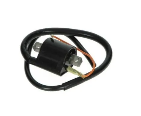 Bobine DMP Hanway/Mash mbk booster, aerox, bw, neo, tzr