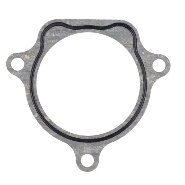 Pakking waterpomp aer4t/neo4t orig 5st-e2435-10