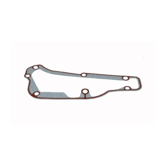 Pakking carterpan alle gts piag orig 846098